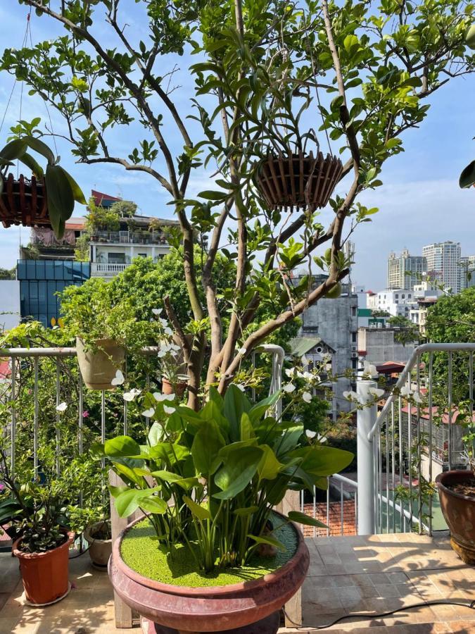 May Residence-800M From Opera House Hanoi Luaran gambar