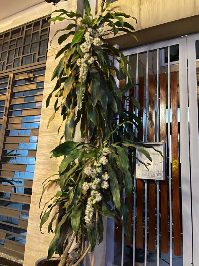 May Residence-800M From Opera House Hanoi Luaran gambar