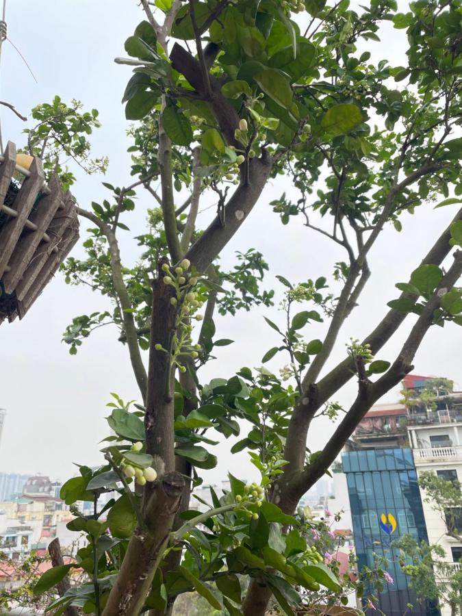 May Residence-800M From Opera House Hanoi Luaran gambar