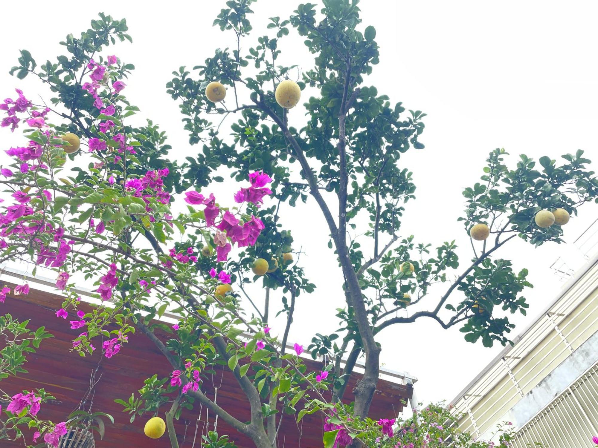 May Residence-800M From Opera House Hanoi Luaran gambar